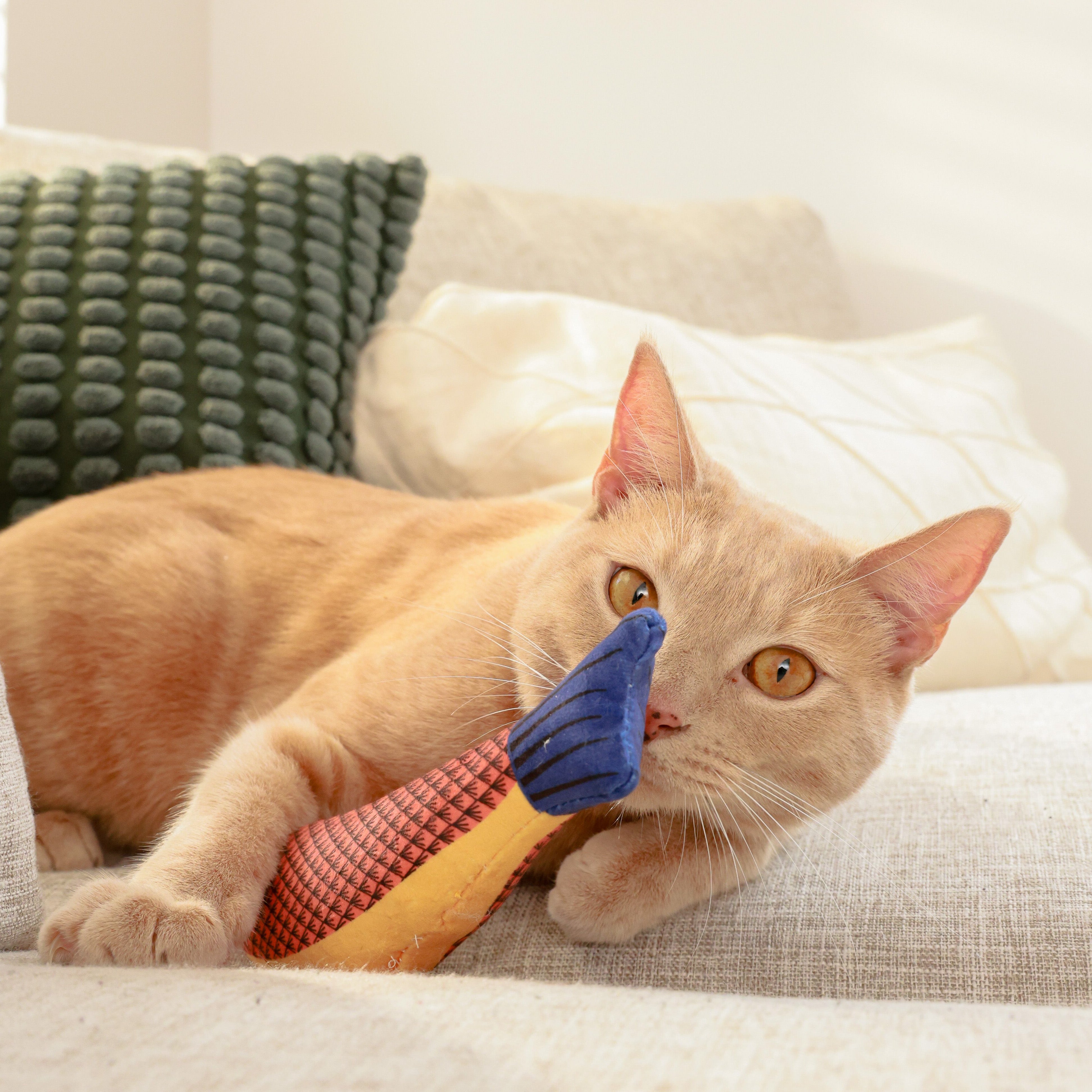 Enrichment Activities Your Cat Will Love