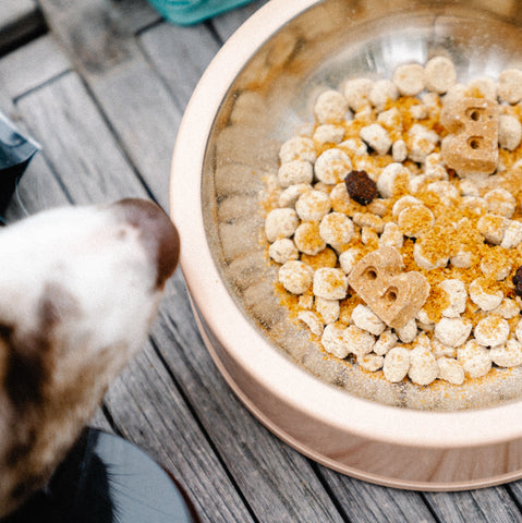 Ways to Make Food Seem More Appealing to Your Pup