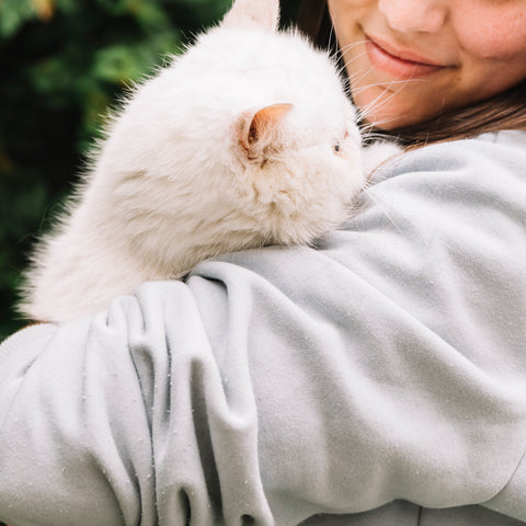 Signs You and Your Cat Have a Strong Bond