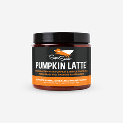 Super Snouts Pumpkin Latte