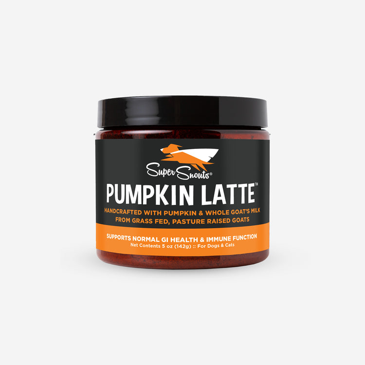 Super Snouts Pumpkin Latte